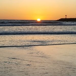 Meet your Posher, Shanna